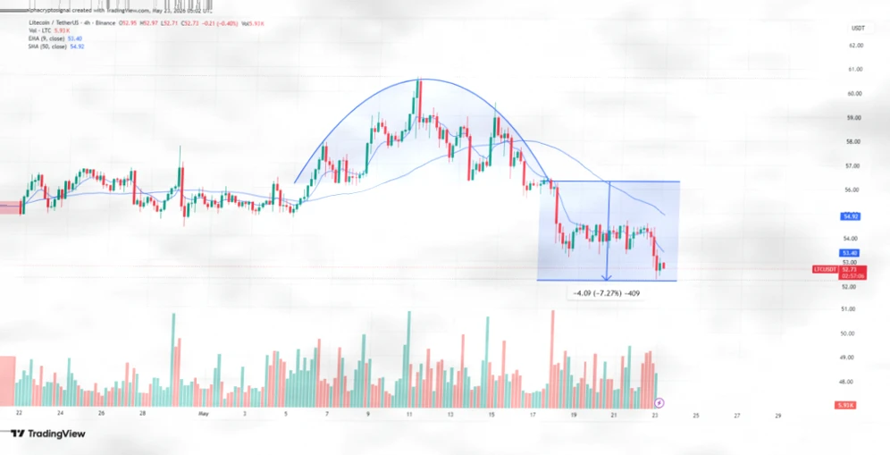 LTC Breaks Down, Falls Below Key Resistance Level插图 LTC Breaks Down, Falls Below Key Resistance Level插图